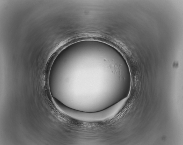 X0000096161165200801251121