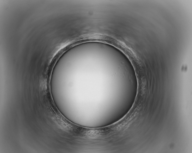 X0000096161166200801251121