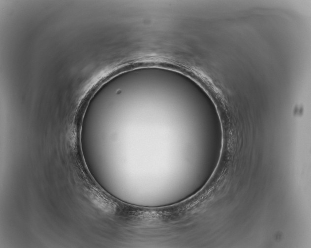 X0000096161167200801251121
