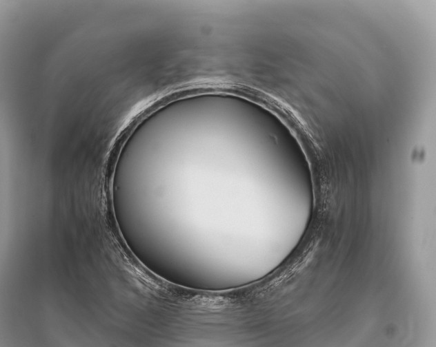 X0000096161168200801251121