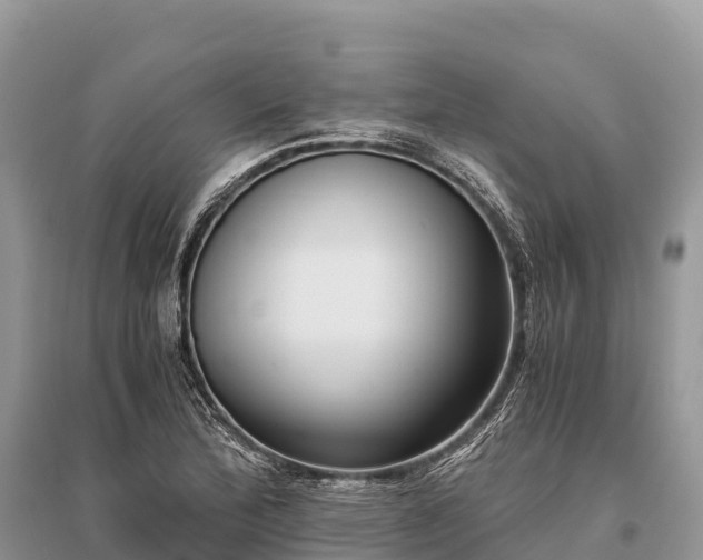 X0000096161172200801251121