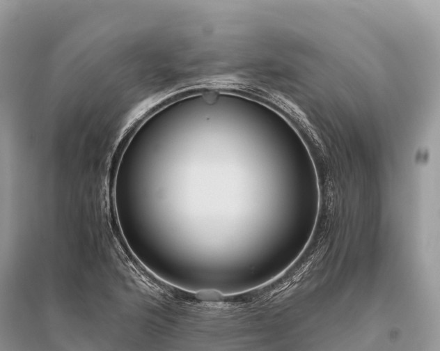 X0000096161176200801251121