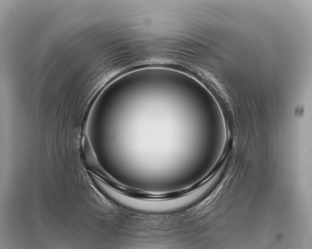 X0000096161177200801251121