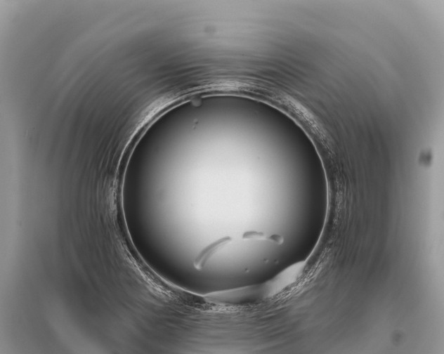 X0000096161178200801251120