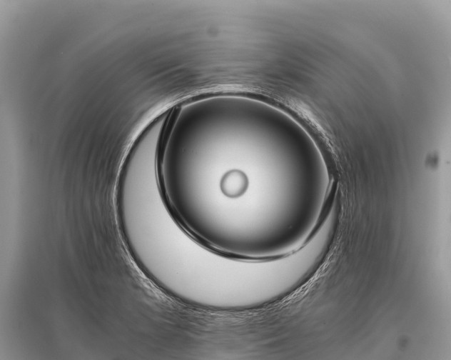 X0000096161181200801251120
