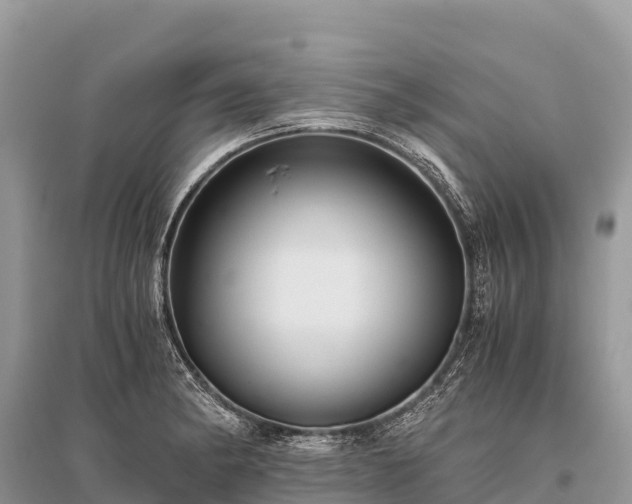X0000096161182200801251120