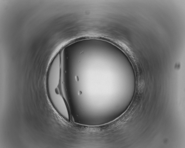 X0000096161183200801251120