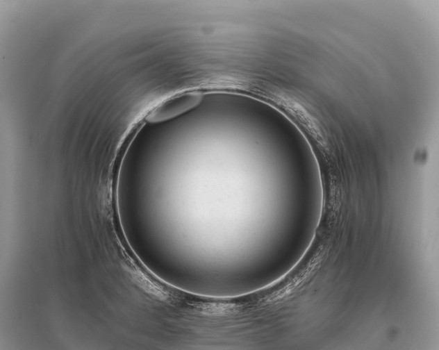 X0000096161184200801251120
