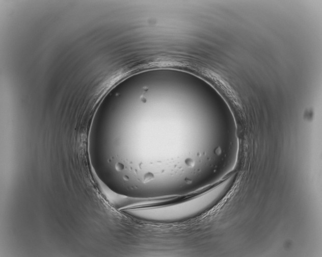 X0000096161185200801251120