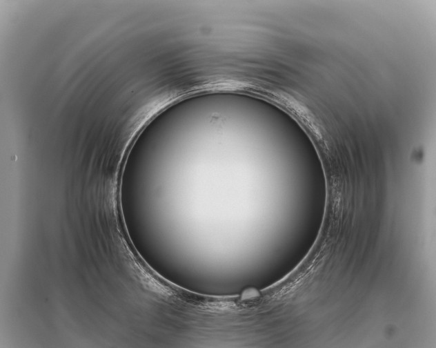 X0000096161186200801251120