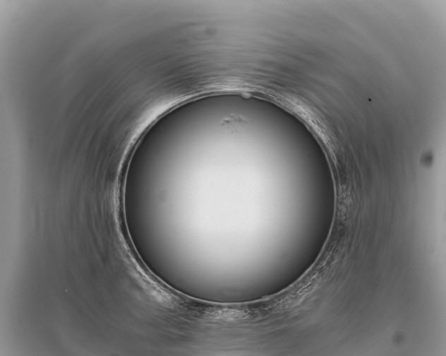 X0000096161187200801251120