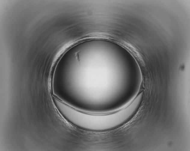 X0000096161188200801251120