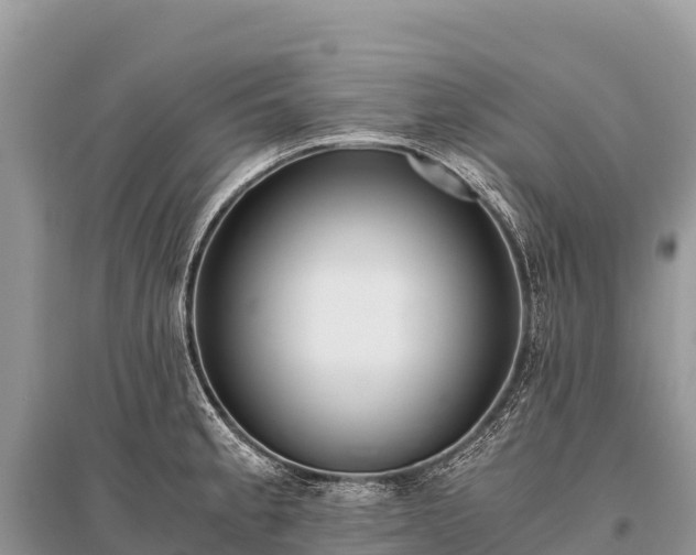 X0000096161189200801251120