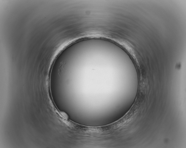 X0000096161191200801251120