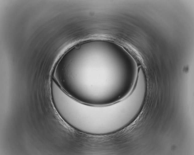 X0000096161192200801251120