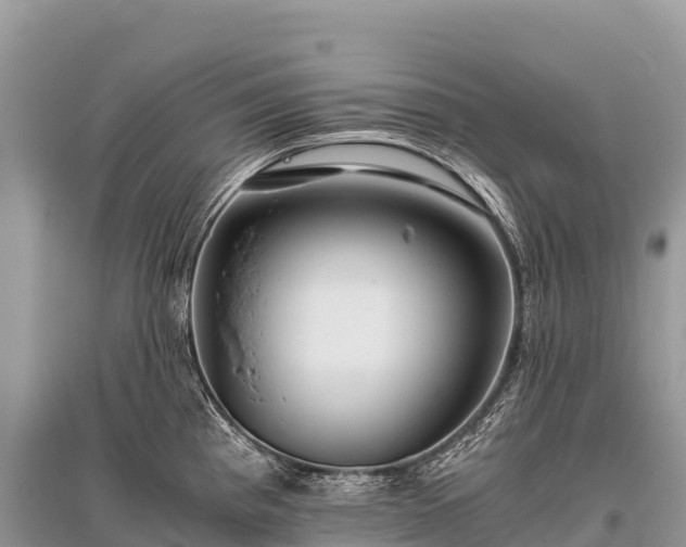 X0000096161193200801251120
