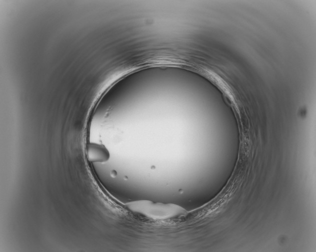 X0000096161195200801251120