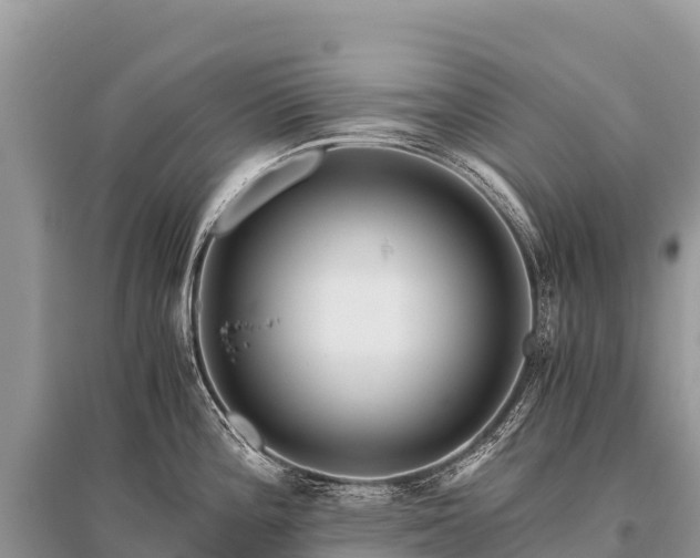 X0000096161196200801251120