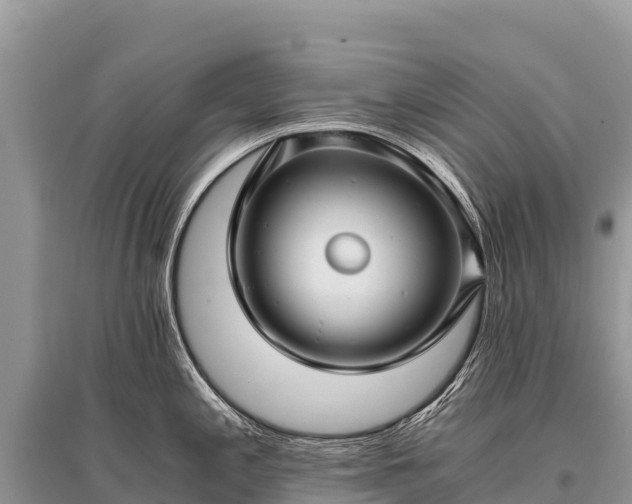 X0000096161197200801251120