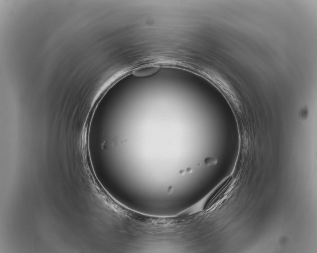 X0000096161198200801251120