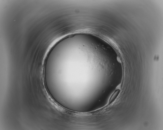 X0000096161200200801251120