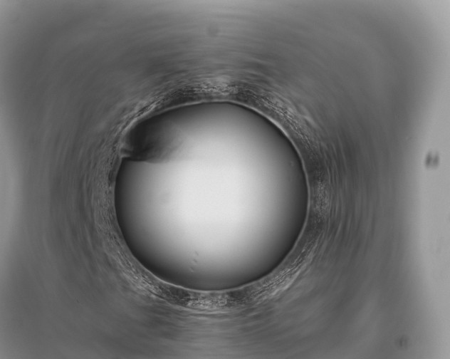 X0000096161201200801251120