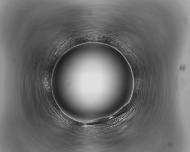 X0000096161202200801251120
