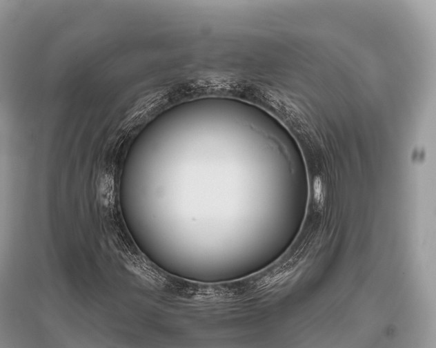 X0000096161203200801251120