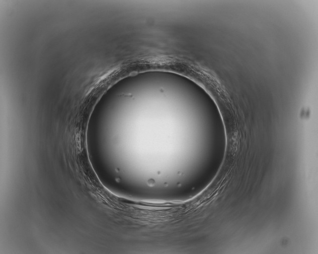 X0000096161205200801251120
