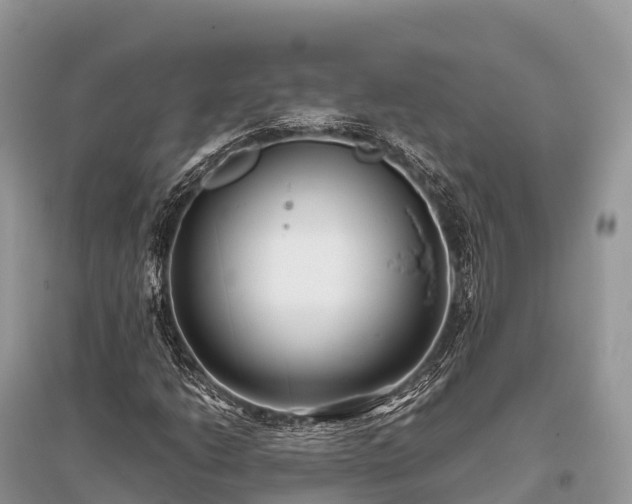 X0000096161206200801251120