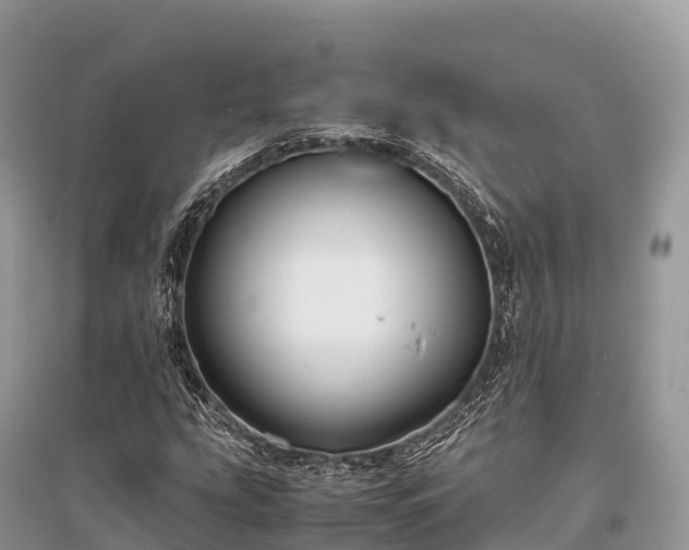 X0000096161207200801251120