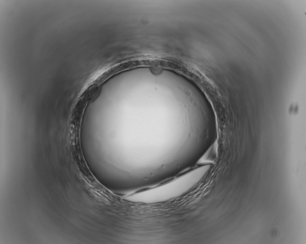 X0000096161208200801251120