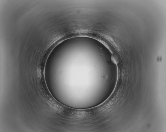 X0000096161209200801251120