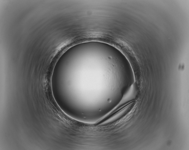 X0000096161210200801251120
