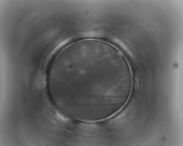 X0000096161213200801251120