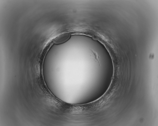 X0000096161214200801251120