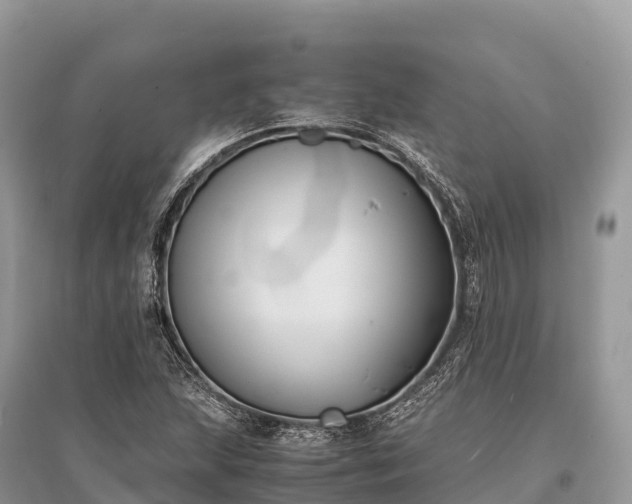 X0000096161215200801251120