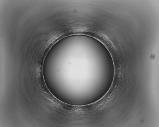 X0000096161217200801251120