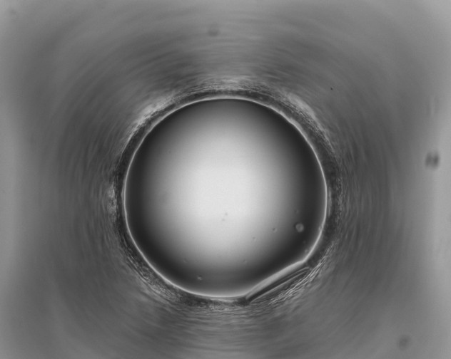 X0000096161218200801251120