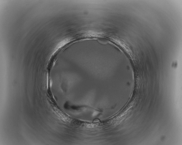 X0000096161219200801251120