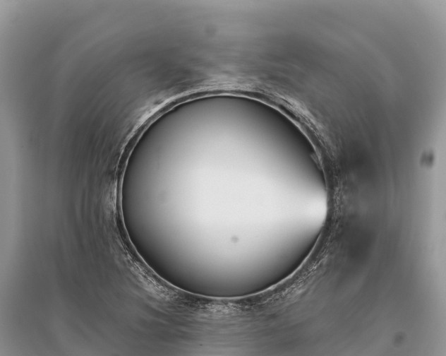 X0000096161220200801251120
