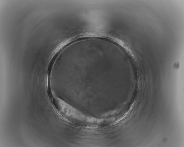 X0000096161221200801251120