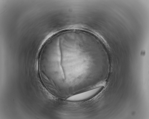 X0000096161224200801251120