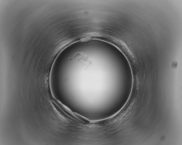 X0000096161225200801251120