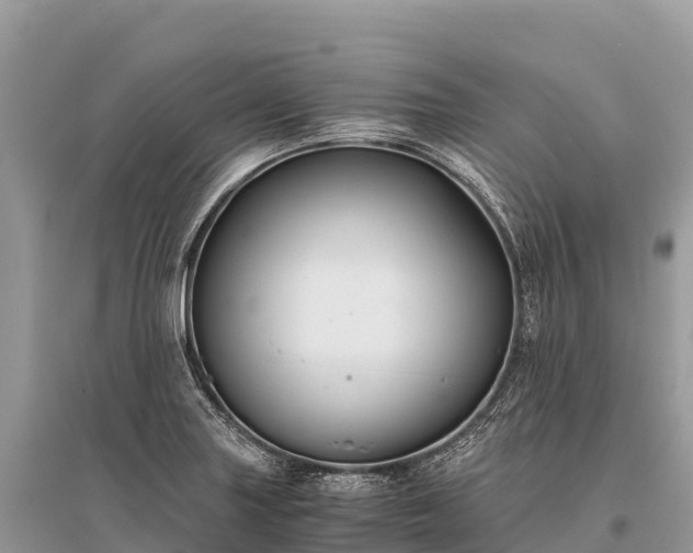 X0000096161227200801251120