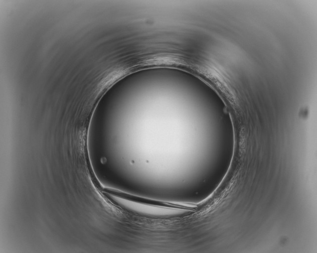 X0000096161233200801251120