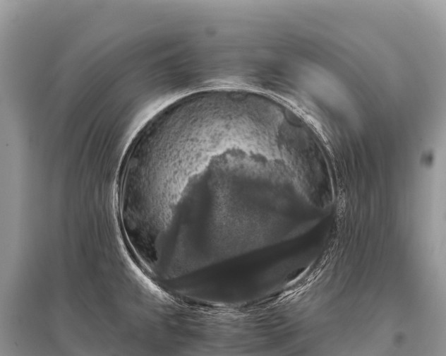 X0000096161239200801251120