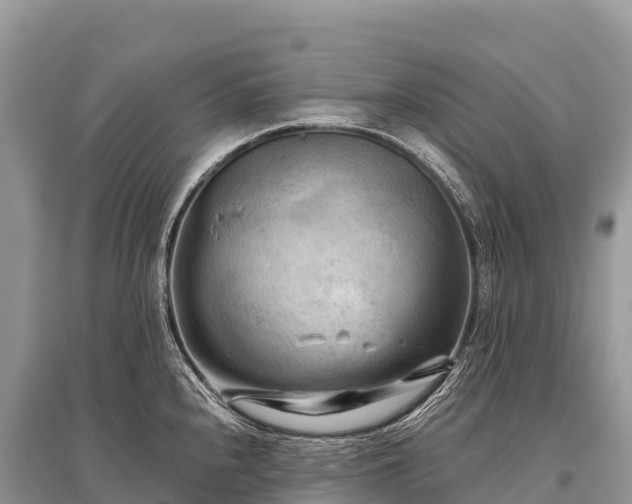X0000096161240200801251120