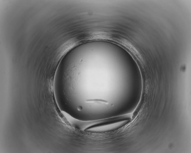 X0000096161241200801251120