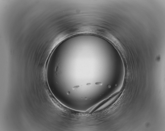 X0000096161242200801251120